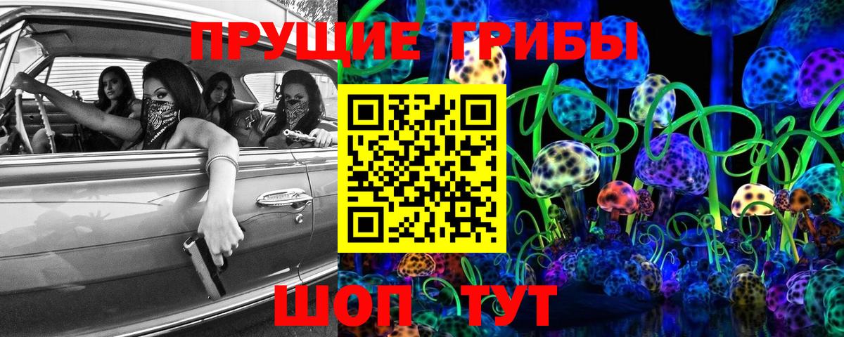 Псилоцибиновые грибы MAGIC MUSHROOMS  Вход с VPN  Саров 